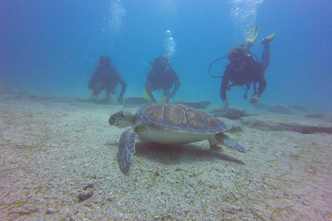 Discover Scuba diving - Flexibility and Booking Details