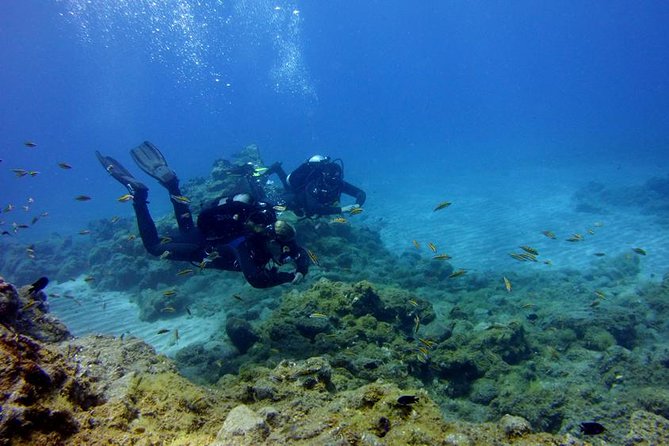 Discover Scuba Diving - Discover Scuba Diving in Tenerife: An Accessible Underwater Adventure