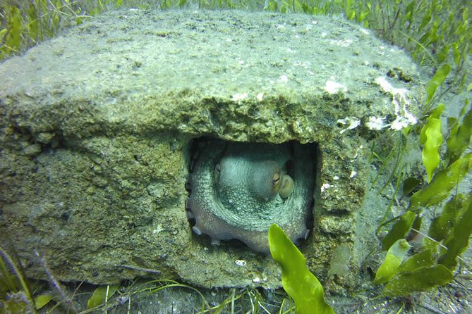 Discover Scuba Diving - Logistics: Transfers and Group Size