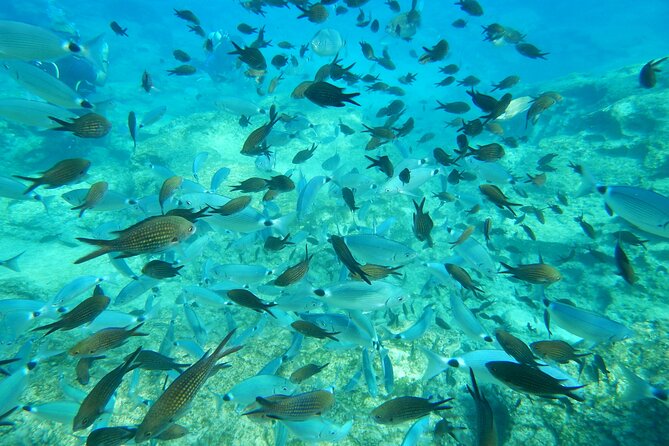 Discover Scuba Diving - The Value of the Discover Scuba Experience