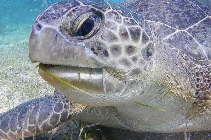 Discover Scuba Diving - What Sets This Tour Apart from Others