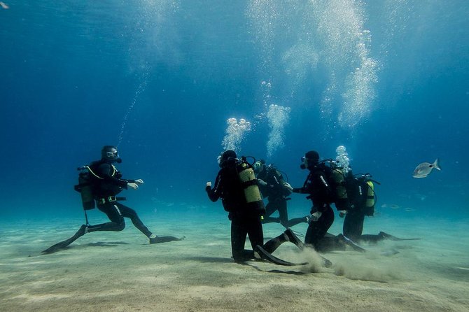 Discover Scuba Diving - Lanzarote’s Marine Life and Shallow Beach Entry