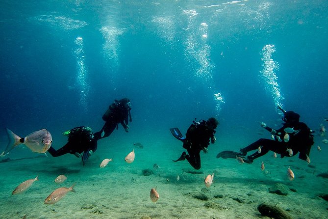 Discover Scuba Diving - Meeting Point and Logistics Details