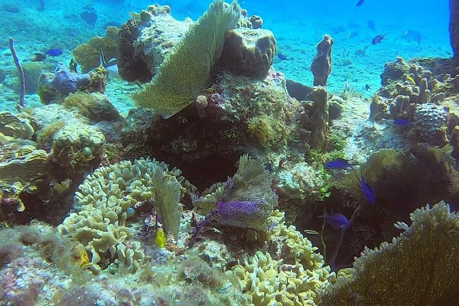 Discover Scuba Diving - Equipment and Photo Opportunities