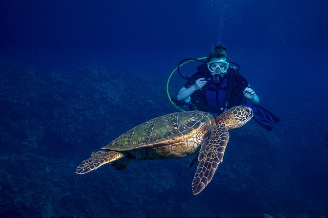 Discover Scuba Diving Class from Lahaina - Discover Scuba Diving Class from Lahaina: An Accessible Introduction to Maui’s Underwater World
