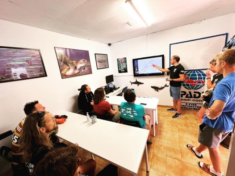 Discover Scuba Diving Experience - Exploring the Atlantic Ocean from Tenerife