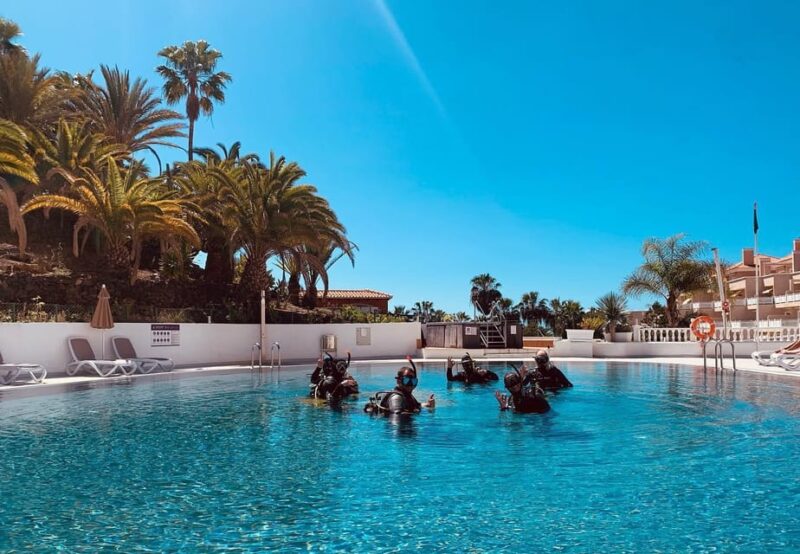 Discover Scuba Diving Experience - Suitable for Different Travelers