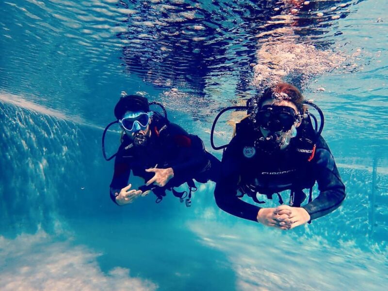 Discover Scuba Diving Experience - Comparing This Tour to Other Tenerife Scuba Options