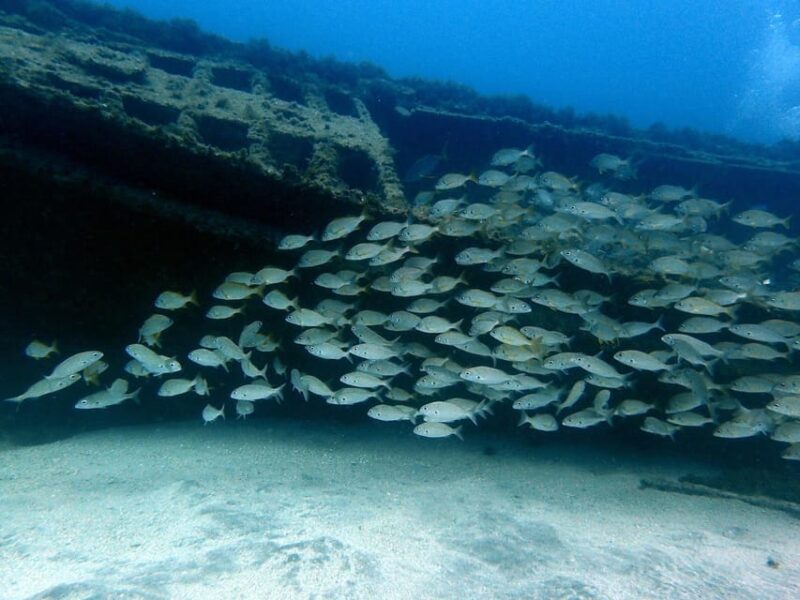 Discover Scuba Diving Experience - Final Thoughts on the Discover Scuba Diving Experience