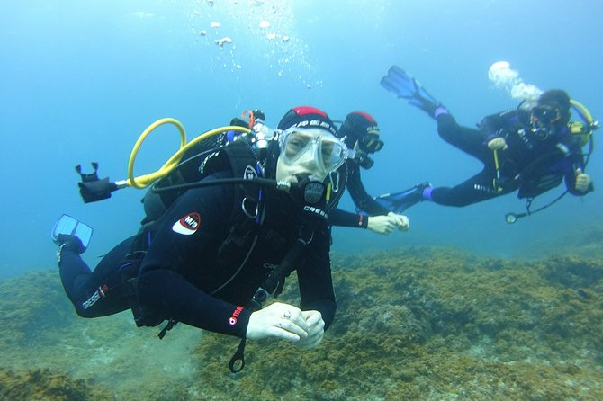 Discover Scuba Diving, free pictures included - Start Point and Transportation in Tenerife