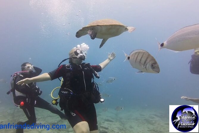 Discover Scuba Diving, free pictures included - Tour Flexibility and Weather Dependency