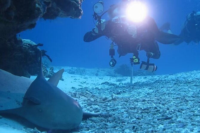 Discover Scuba Diving From Boat - Experience Level and Physical Requirements