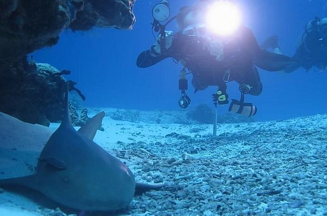 Discover Scuba Diving From Boat - Flexibility and Customization of the Dive Experience