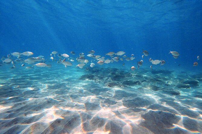 Discover Scuba Diving in Costa Calma - Discover Scuba Diving in Costa Calma: A Hands-On Underwater Experience