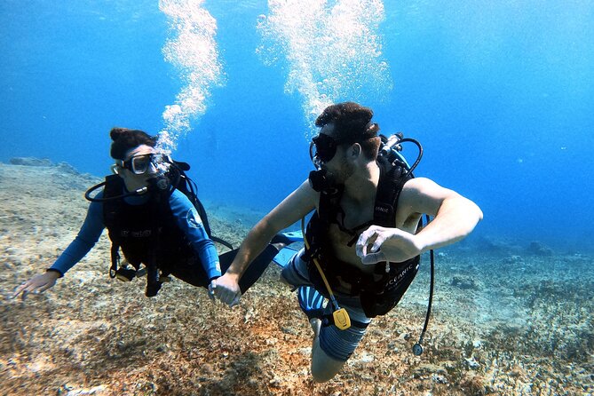 Discover Scuba Diving in Cozumel - Discover the Benefits of a Small Group Scuba Experience in Cozumel
