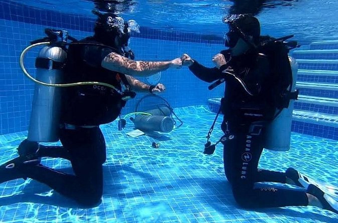 Discover Scuba Diving in Cozumel - What Beginners Can Expect to Learn and Experience