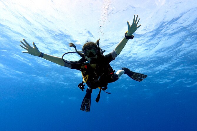 Discover Scuba Diving in Cozumel - Customization for Larger Groups