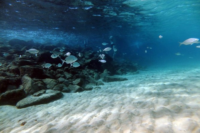 Discover Scuba Diving in Lanzarote (Costa Teguise) - Final Thoughts on the Lanzarote Scuba Experience