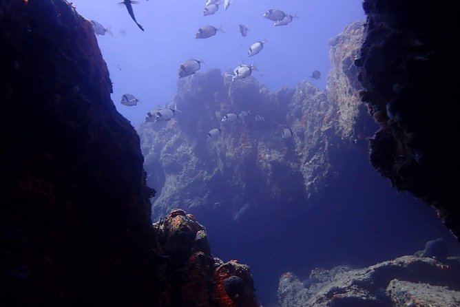 Discover Scuba Diving in Naxos, Greece - What to Expect During the Underwater Experience in Naxos