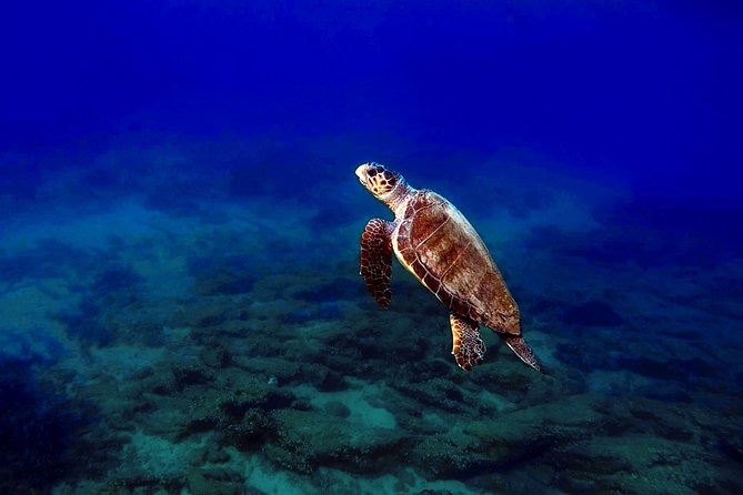 Discover Scuba Diving in Naxos, Greece - Cancellation Policy and Booking Tips