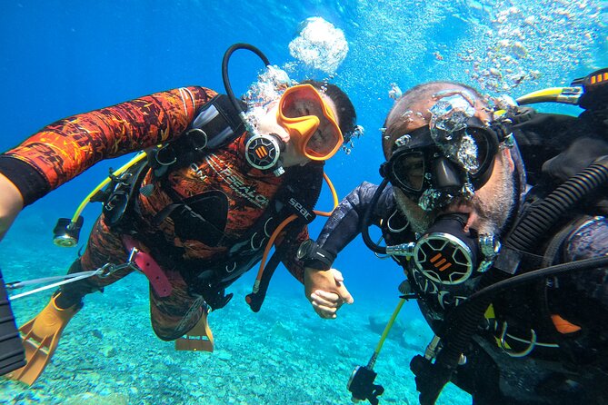 Discover Scuba Diving in Tenerife - Key Points