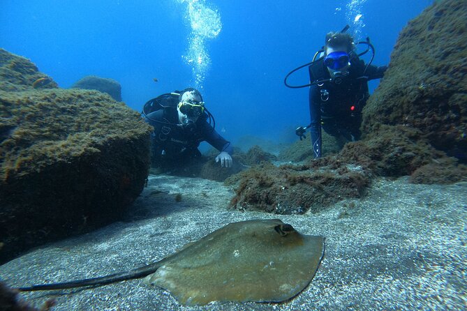 Discover Scuba Diving in Tenerife - Safety and Physical Requirements