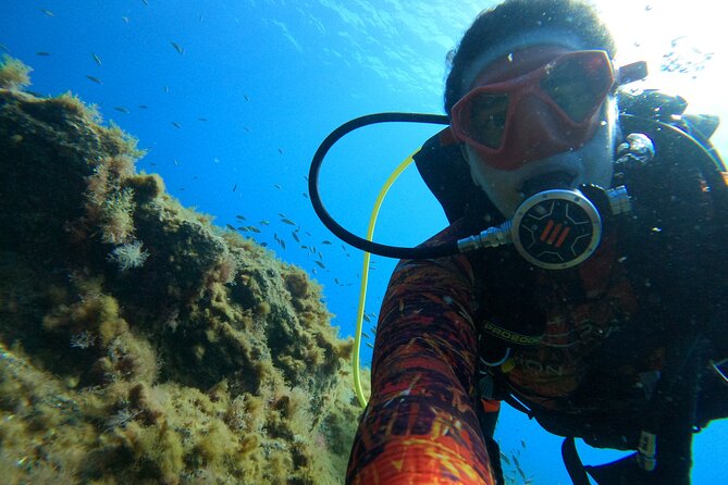 Discover Scuba Diving in Tenerife - Why Choose This Tour for Your Tenerife Trip?