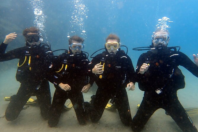 Discover Scuba Diving, Tenerife. Photos and videos included - Brand-New CRESSI Equipment for Comfort and Safety