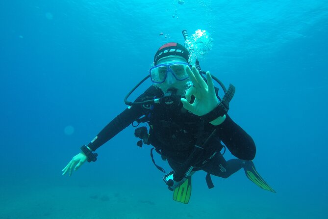 Discover Scuba Diving, Tenerife. Photos and videos included - Walk to Playa Las Vistas for the Underwater Adventure