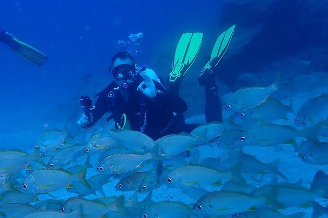 Discover Scuba Diving, Tenerife. Photos and videos included - Guided by a Marine Biologist: Underwater Knowledge Sharing