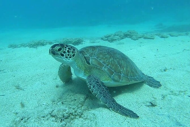 Discover SCUBA Diving with Pissouri Bay Divers - Key Points