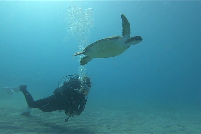Discover SCUBA Diving with Pissouri Bay Divers - Traveling to the Pissouri Bay Dive Site