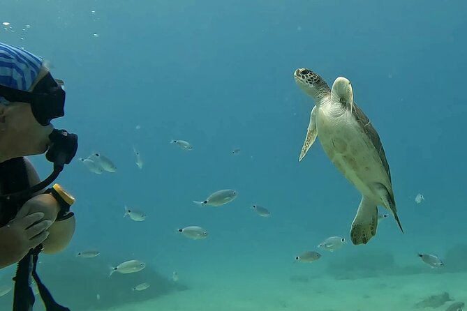 Discover SCUBA Diving with Pissouri Bay Divers - Who Should Consider This Tour