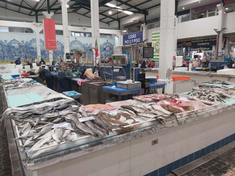 Discover Setúbal´s Secrets: Wine, Culture and Arrabida Magic - The Spectacle of Arrábida Gap and UNESCO Heritage Site