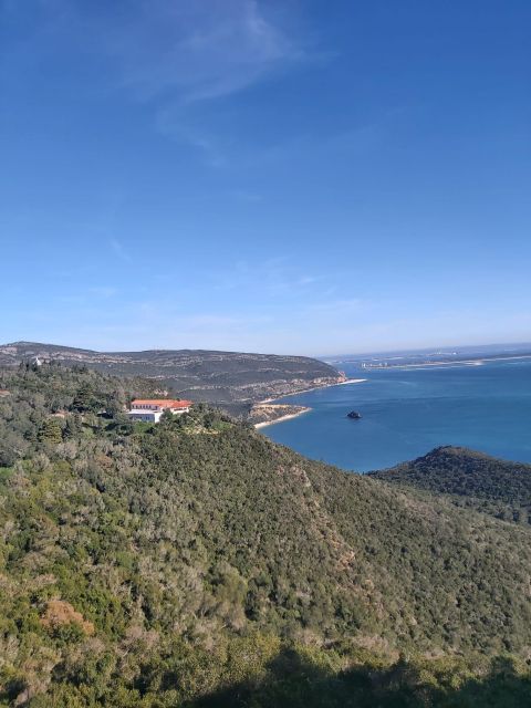 Discover Setúbal´s Secrets: Wine, Culture and Arrabida Magic - Exploring Azeitão’s Tile Workshop and Wine Tasting