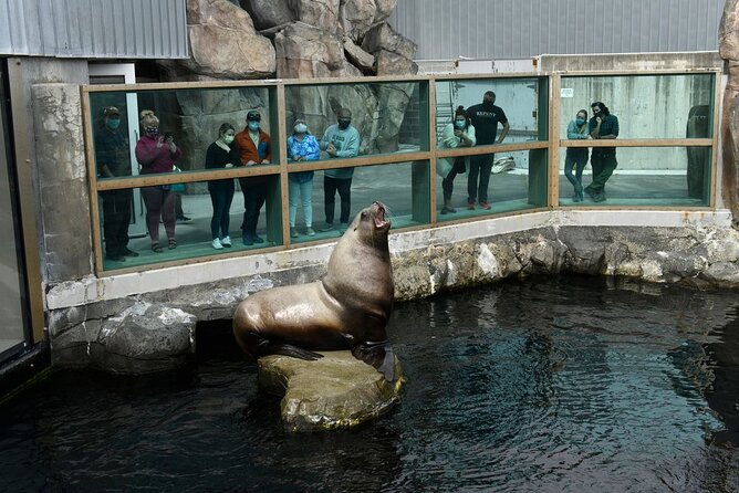 Discover Seward: Self-Guided Audio Tour - Wildlife Spotting and Landscape Viewing Opportunities
