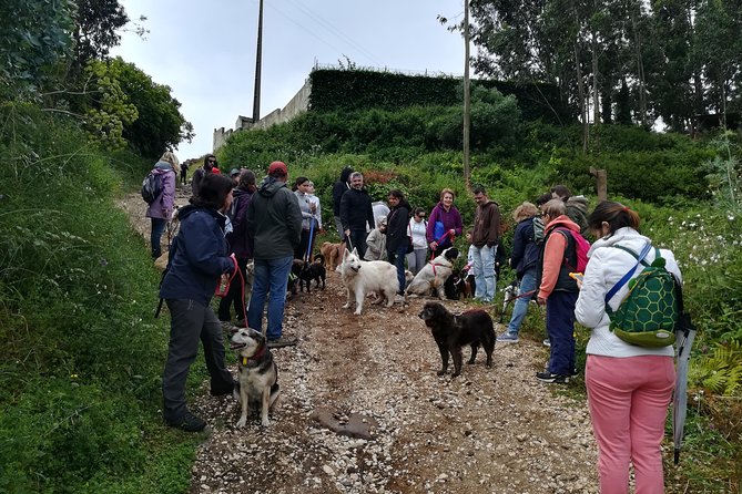 Discover Sintra's Hidden Trails: A Unique Hiking Experience - From Carcavelos to Sintra’s Trails