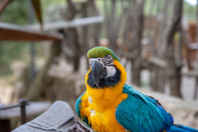 Discover Son Serra de Marina offroad e-scooters 100%FUN adventure - Rancho Grande Park: Majorca’s Largest Working Horse Ranch