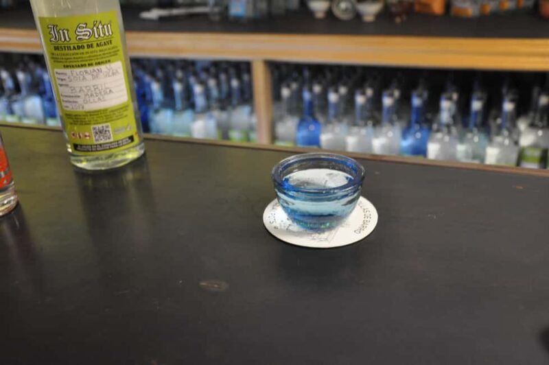 Discover tacos, mezcal, and music in Oaxaca. - Exploring Oaxaca’s Architecture and Nightlife