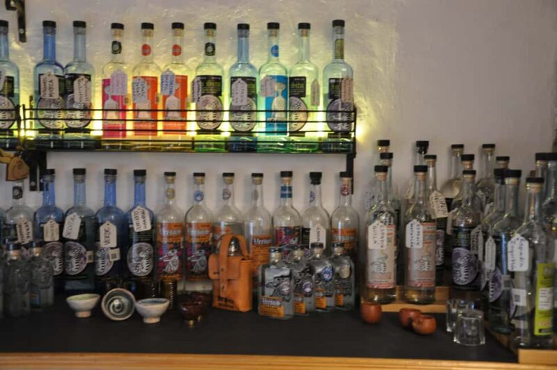 Discover tacos, mezcal, and music in Oaxaca. - Practical Details: Meeting Point, Payment, and Group Size