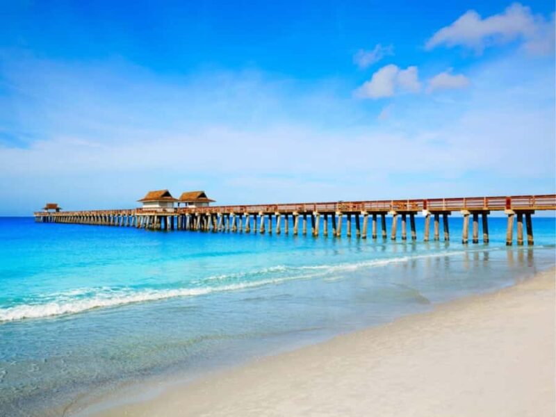 Discover Tampa: Full-Day Tour from Miami (12 Hours) - Scenic Stroll Along Tampa Riverwalk