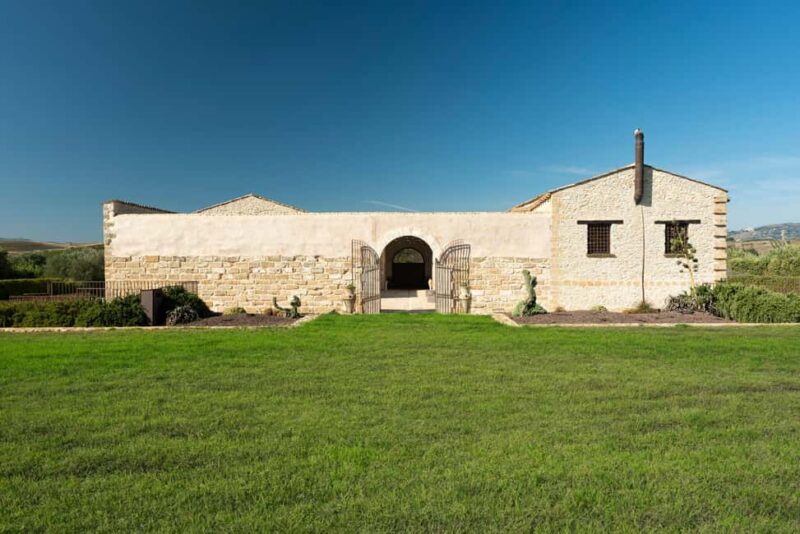 Discover Tenute Baglio Passofondo - Walking Through the Vineyards and Olive Groves