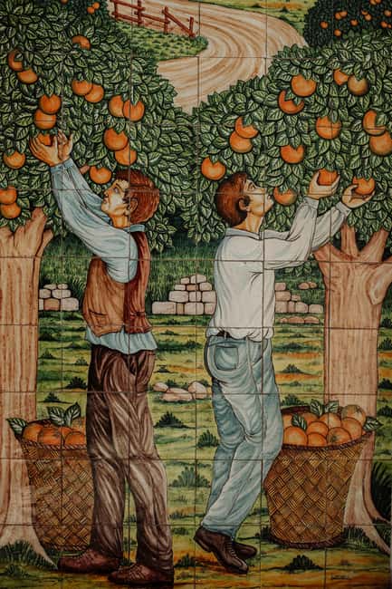 Discover Tenute Baglio Passofondo - Guide and Multilingual Support