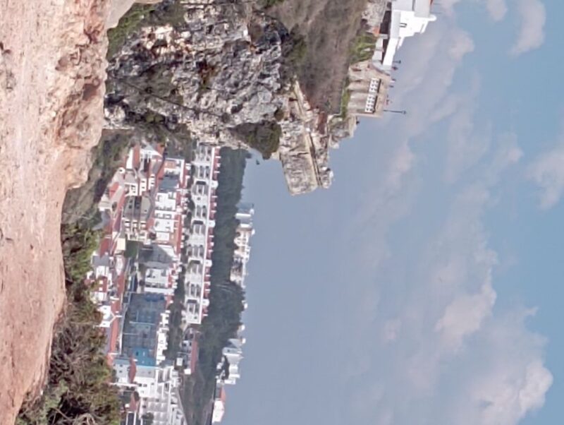 Discover the allure of Porto / Lisbon on private luxury tour - Delving into Coimbra’s historic allure