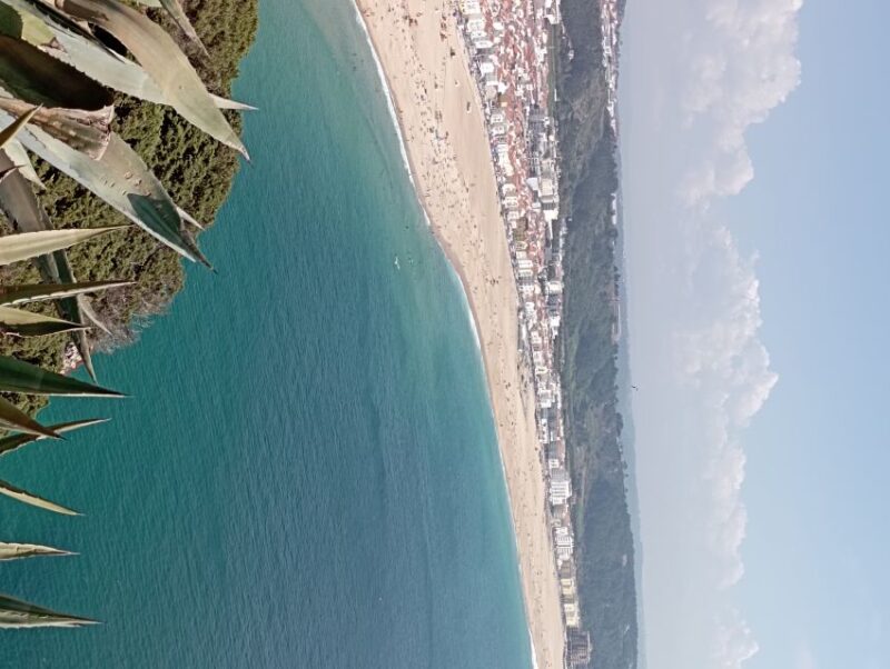 Discover the allure of Porto / Lisbon on private luxury tour - Luxury and personalized service throughout the day