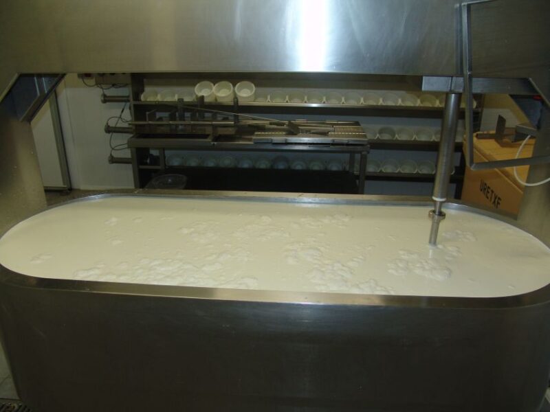 Discover the Art of Idiazabal Cheese in the Basque Country - Discover the Craft of Idiazabal Cheese in the Basque Country