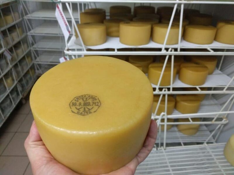 Discover the Art of Idiazabal Cheese in the Basque Country - The Cheese Crafting Experience