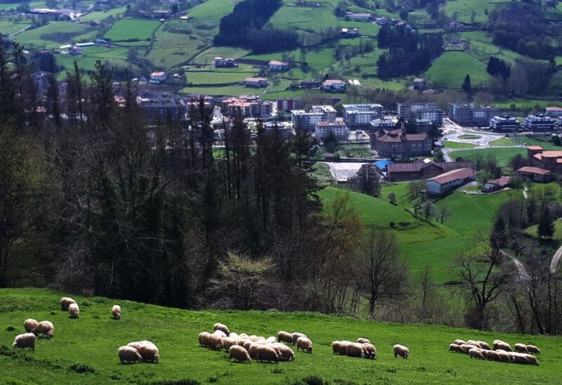 Discover the Art of Idiazabal Cheese in the Basque Country - Accessibility and Practical Tips