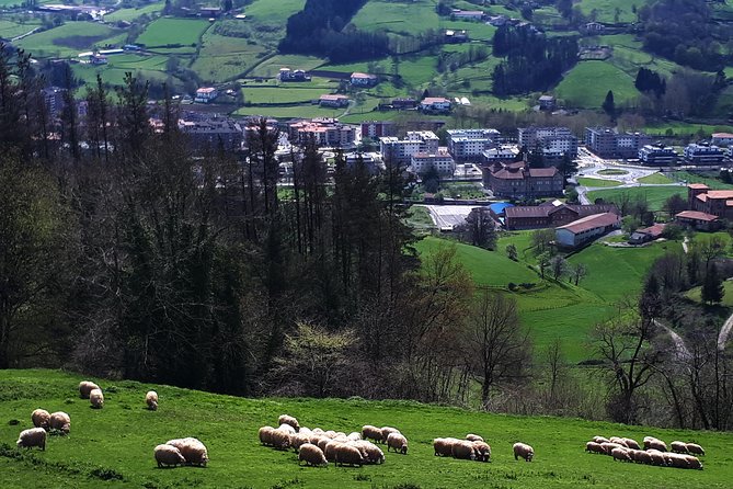Discover the Art of Idiazabal Cheese in the Basque Country - Cheese and Cider Tasting Experience