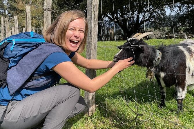 Discover the artisan producers of the mountain - Down to the Town for a Glass of Wine